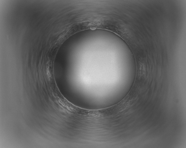 X0000051911250200507011524