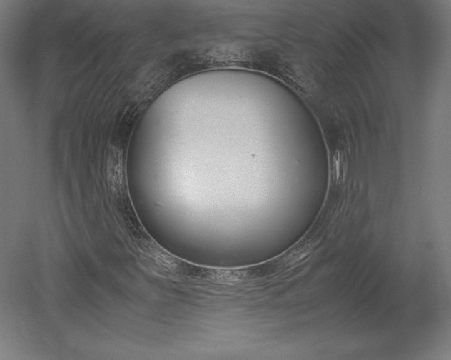 X0000051911251200507011524