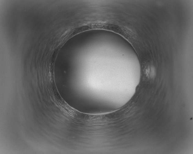 X0000051911252200507011524