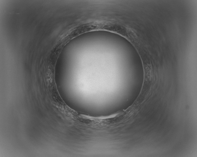 X0000051911253200507011524