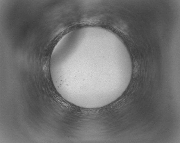 X0000051911254200507011524