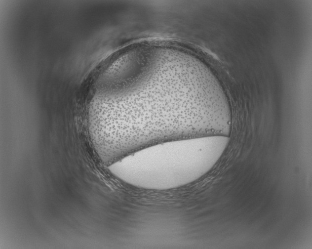 X0000051911255200507011524