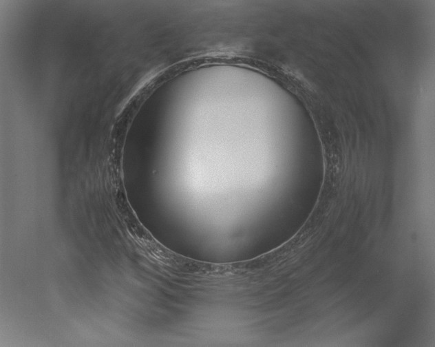 X0000051911256200507011524