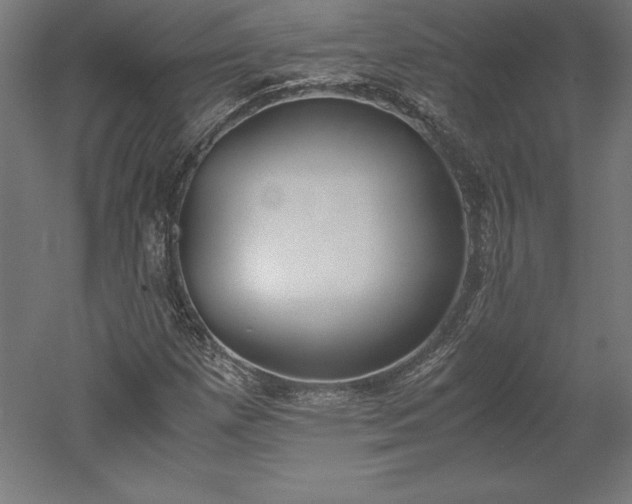 X0000051911257200507011524