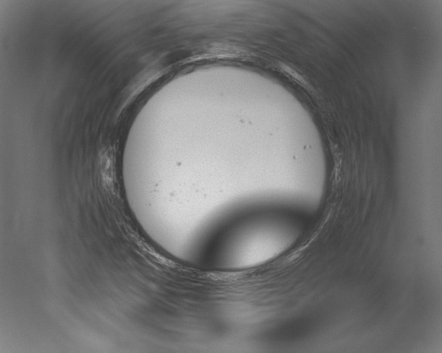 X0000051911258200507011524