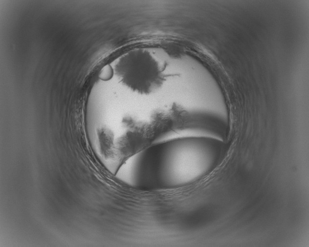 X0000051911259200507011524