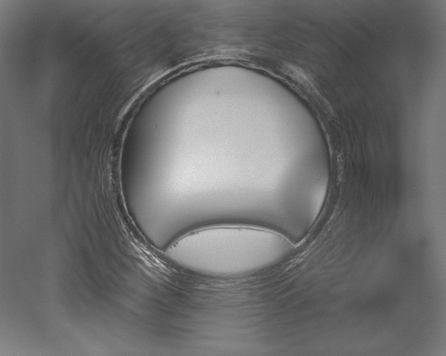 X0000051911260200507011524