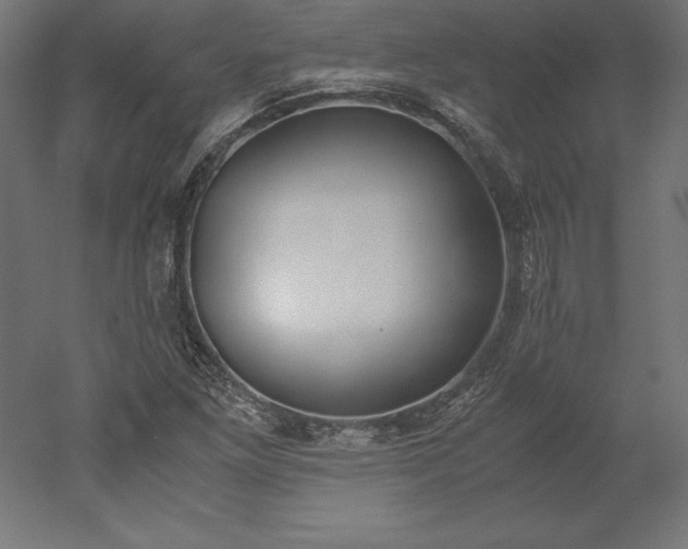 X0000051911261200507011524