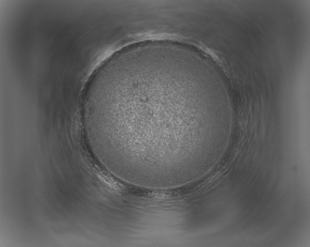 X0000051911263200507011524