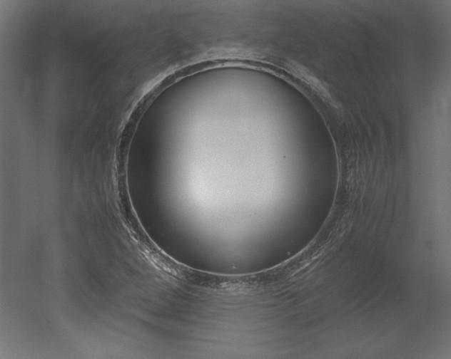 X0000051911264200507011524