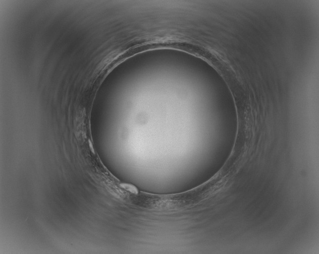 X0000051911265200507011524