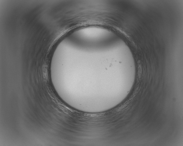 X0000051911266200507011524