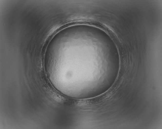 X0000051911267200507011524