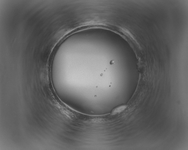 X0000051911268200507011524