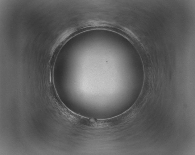 X0000051911269200507011524