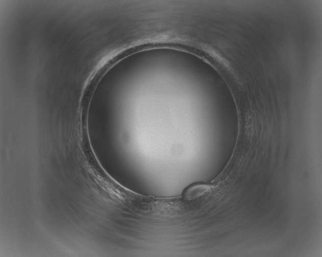 X0000051911270200507011524