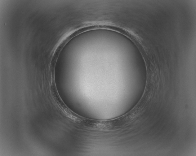 X0000051911271200507011524