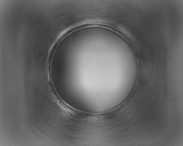 X0000051911272200507011524