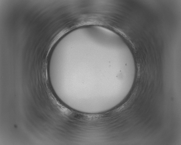 X0000051911274200507011524