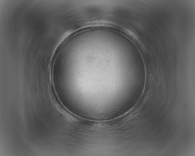 X0000051911275200507011524