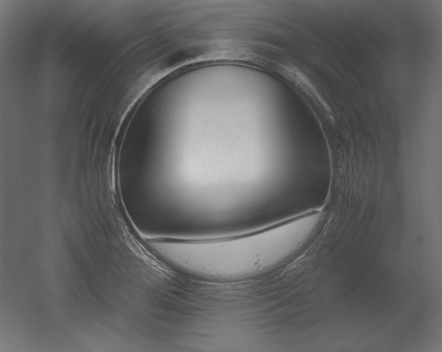 X0000051911276200507011524