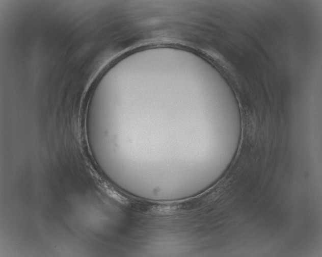 X0000051911278200507011524