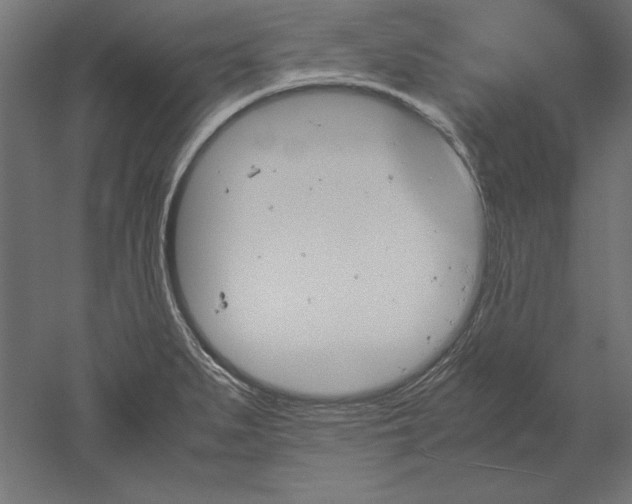 X0000051911279200507011524