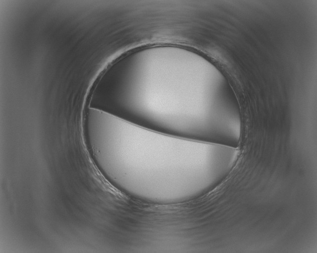 X0000051911280200507011524