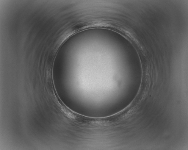 X0000051911281200507011524