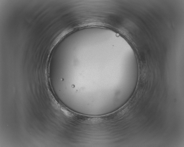 X0000051911282200507011524