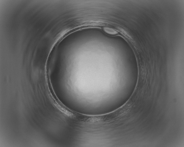 X0000051911283200507011524