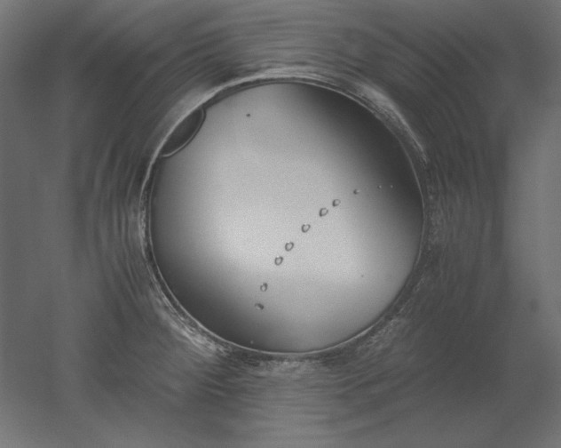 X0000051911284200507011524