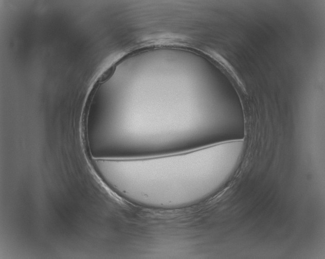 X0000051911285200507011524