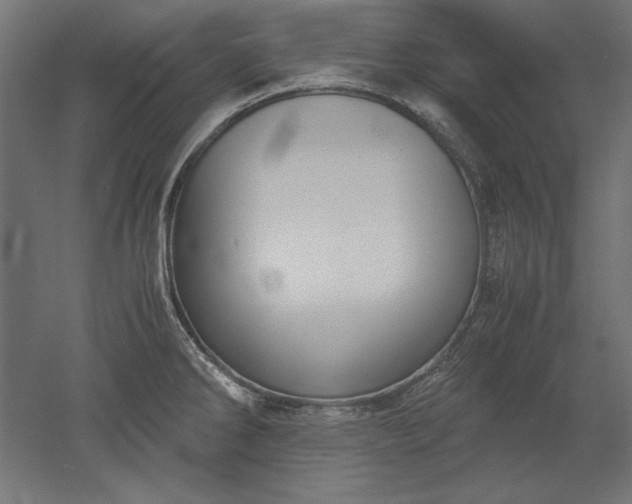 X0000051911286200507011524