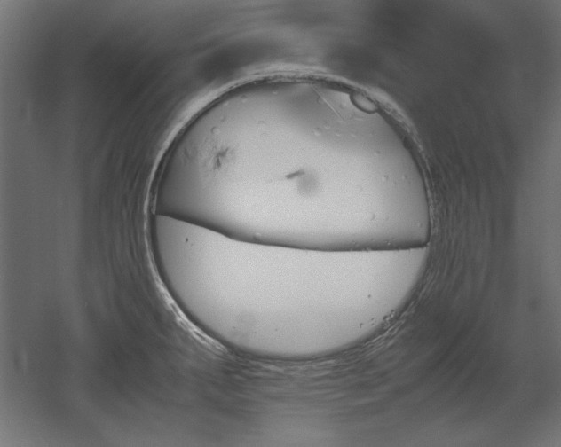 X0000051911287200507011524