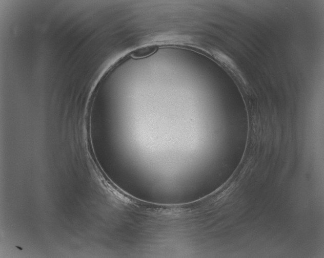 X0000051911288200507011524