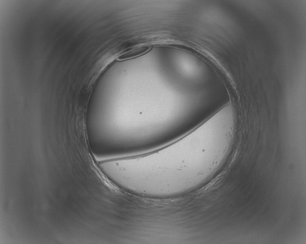 X0000051911289200507011524