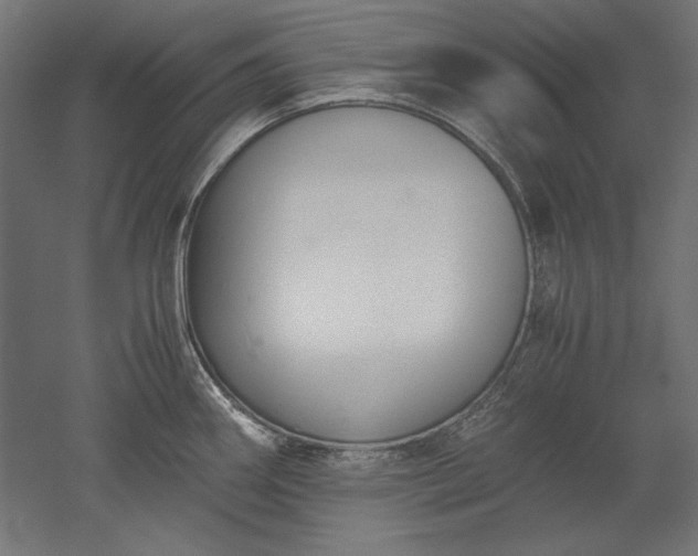 X0000051911290200507011524