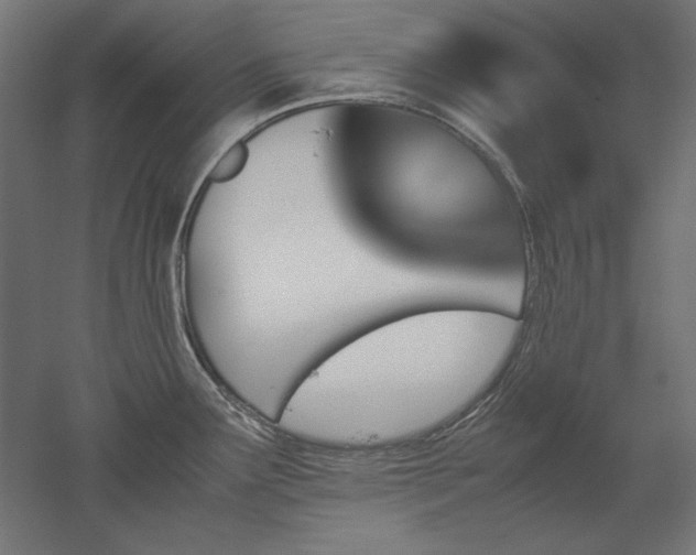 X0000051911291200507011524