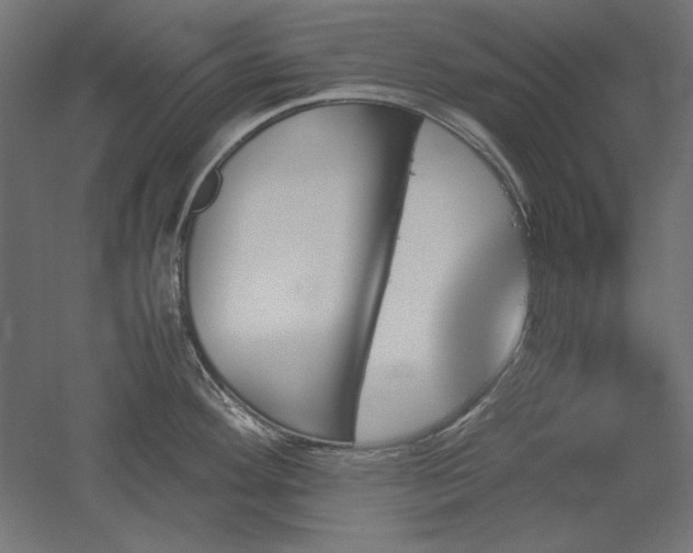 X0000051911292200507011524