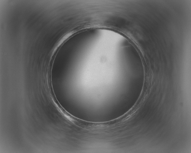 X0000051911293200507011524