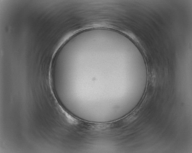 X0000051911294200507011524