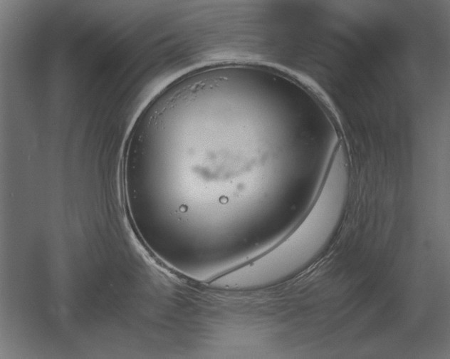 X0000051911295200507011524