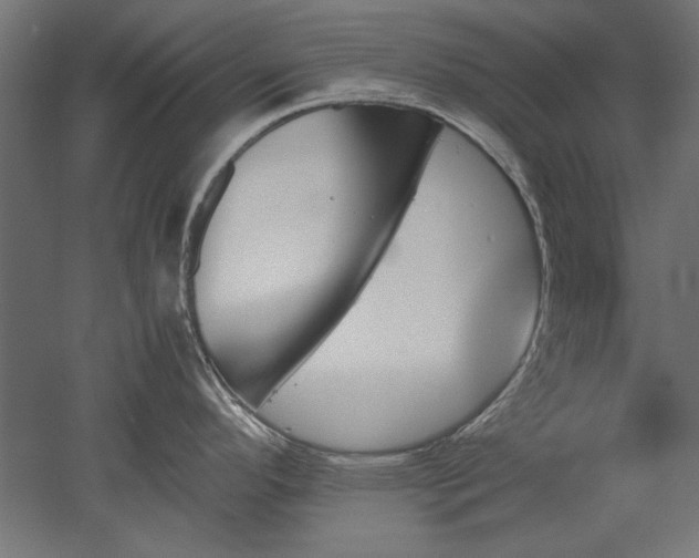 X0000051911296200507011524