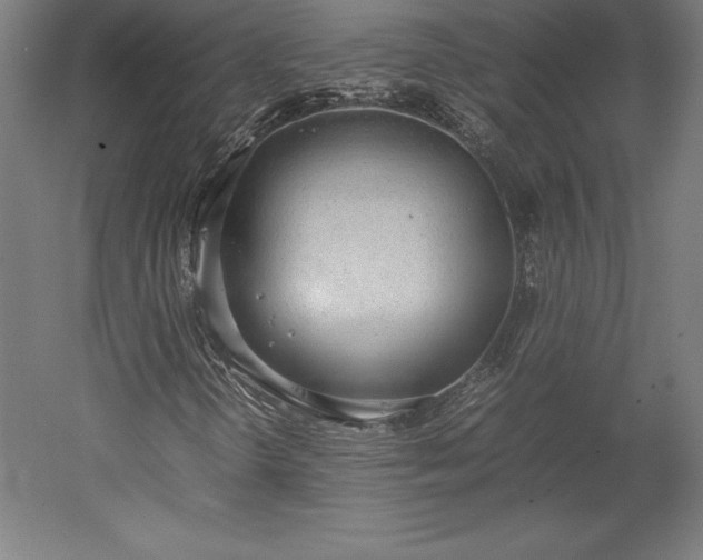 X0000051911298200507011523