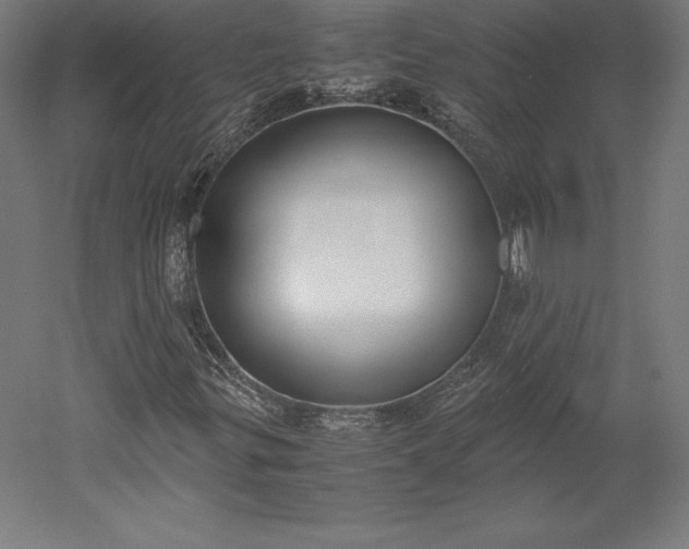 X0000051911299200507011523