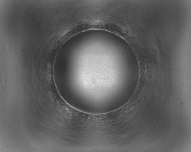 X0000051911301200507011523