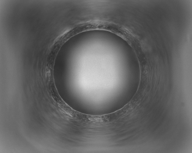 X0000051911302200507011523