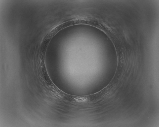 X0000051911303200507011523