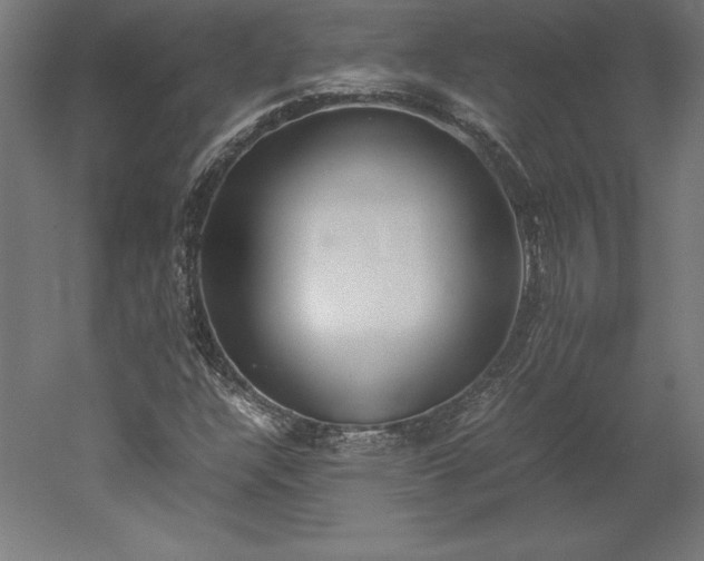 X0000051911304200507011523